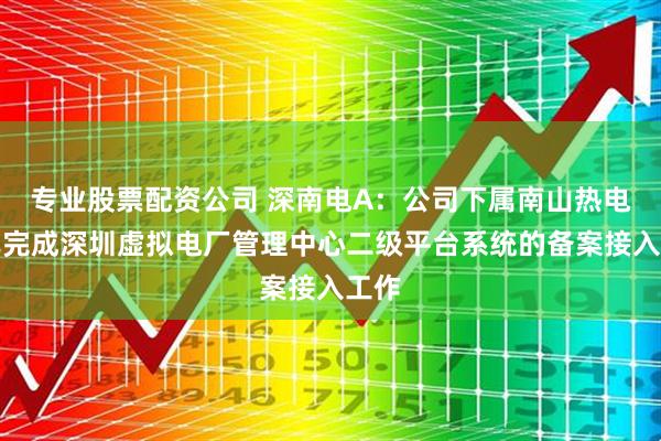 专业股票配资公司 深南电A：公司下属南山热电厂已完成深圳虚拟电厂管理中心二级平台系统的备案接入工作