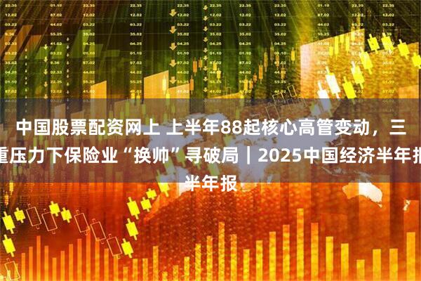 中国股票配资网上 上半年88起核心高管变动，三重压力下保险业“换帅”寻破局｜2025中国经济半年报