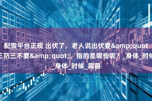 配资平台正规 出伏了，老人说出伏要&quot;三做三防三不要&quot;，指的是哪些呢？_身体_时候_霉菌